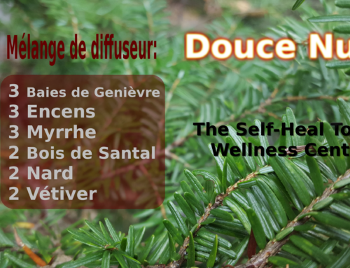 Douce Nuit – Mélange de Diffuseur