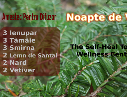 Noapte de Vis – Amestec pentru Difuzor